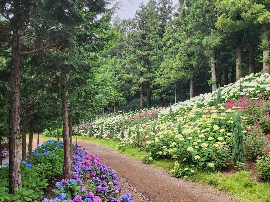 ▲ 전남도 예쁜정원-보성 성림정원ⓒ전라남도 제공