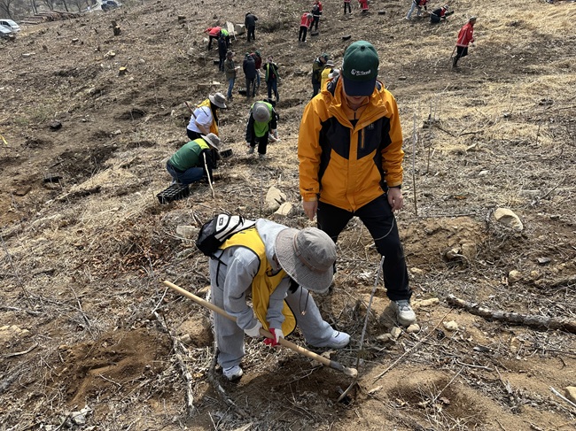 ▲ 임우연합 회원과 숲사랑 청소년단 단원이 나무를 심고 있다. ⓒ북부지방산림청