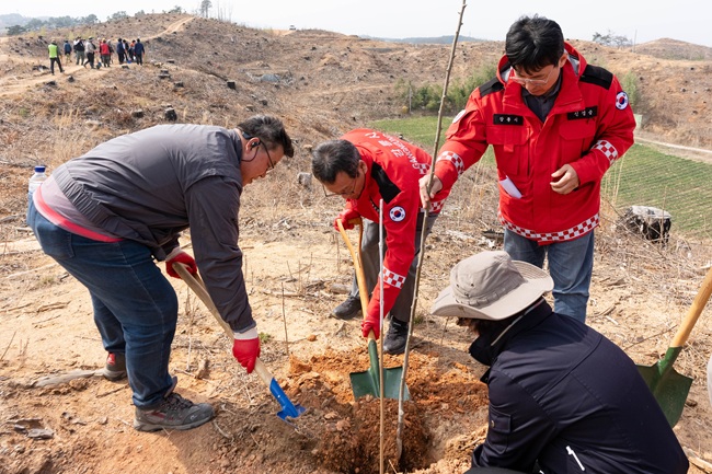▲ 강릉시(시장 김홍규)가 제81회 식목일을 맞아 3일 저동 산12번지 일원에서 강릉시청 및 강릉시의회 60여 명을 비롯해 강릉시 산림조합, 임업후계자협회(강릉시협의회), 경포동 주민 등 총 100여 명이 참여해 돌배나무 622본을 심었다. ⓒ강릉시