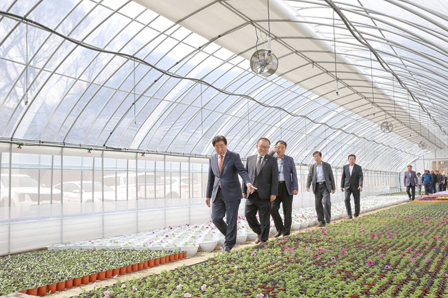 ▲ 서원면 옥계2리 화훼 온실단지 모습. ⓒ횡성군