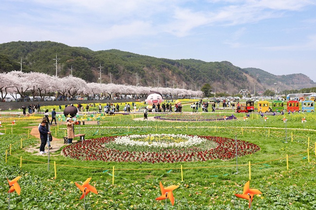 ▲ 강원 삼척시 근덕면 상맹방리 일원에 활짝 핀 '제22회 삼척맹방유채꽃축제' 모습. 삼척시는 '맹방, 봄으로 활짝 피다'를 주제로 19일까지 축제를 개최한다.