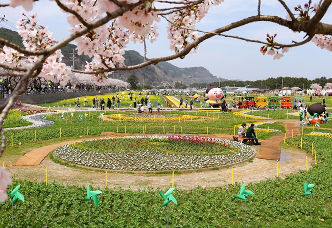 ▲ 강원 삼척시 근덕면 상맹방리 일원에 활짝 핀 '제22회 삼척맹방유채꽃축제' 모습. 삼척시는 '맹방, 봄으로 활짝 피다'를 주제로 19일까지 축제를 개최한다.