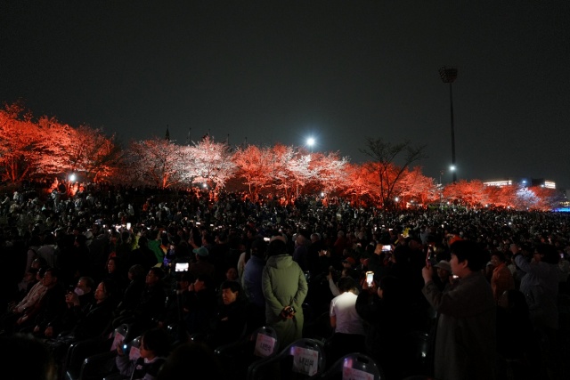 ▲ 오산천 벗꽃축제ⓒ오산시 제공