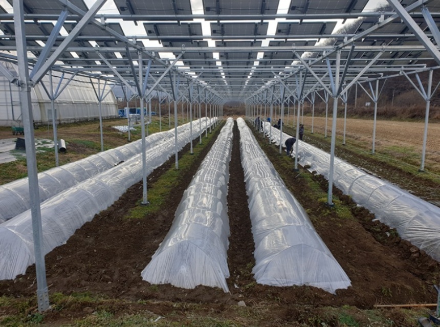 ▲ ‘파주시 영농형 태양광 발전사업 지원에 관한 조례’가 제정돼 폭넓은 지원이 가능해 졌다 ⓒ파주시 제공