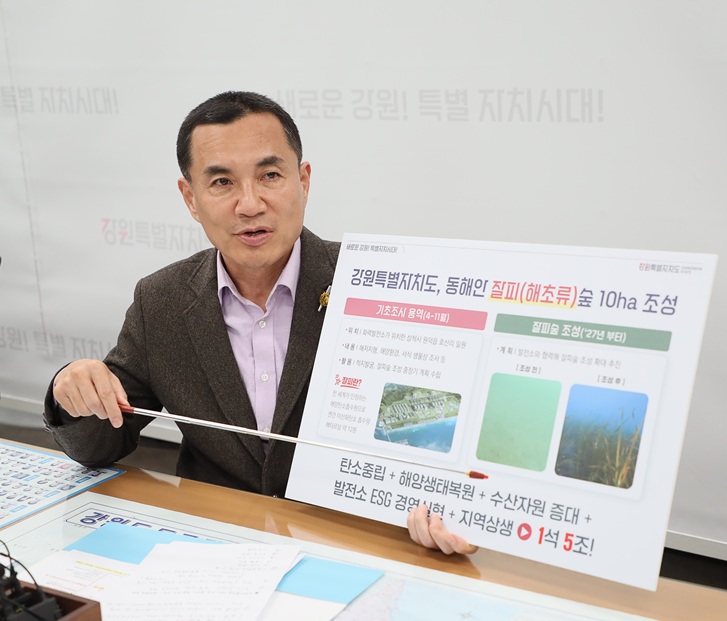 ▲ 강원특별자치도가 '잘피숲' 조성을 추진하기 위해 기초조사에 착수하기로 했다. ⓒ강원특별자치도