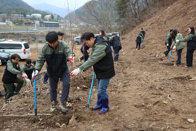 [포토뉴스] 횡성군, '제81회 식목일 기념 나무 심기 행사' 개최