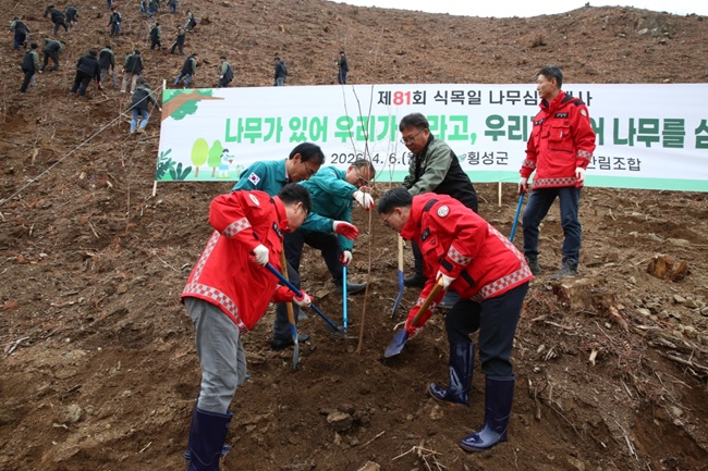 ▲ 횡성군이 제81회 식목일을 맞아 6일 공근면 매곡리 614-2번지 일원에서 최태영 횡성 부군수와 표한상 횡성군의회 의장을 비롯한 군청 공직자 200여 명이 참석한 가운데 '제81회 식목일 기념 나무 심기 행사'를 개최했다. ⓒ횡성군