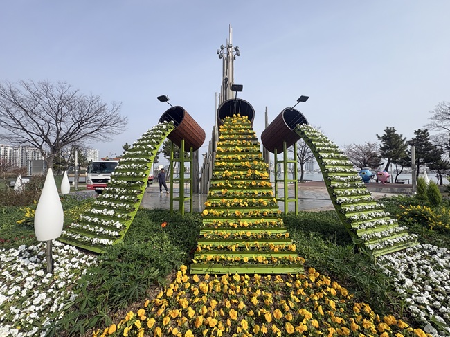 ▲ 청초호유원지 분수광장 및 속초광장 일원에 식재한 봄꽃. ⓒ속초시