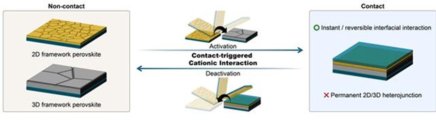 ▲ 접촉 유도 양이온 상호작용(CCI)의 개념도와 가역적 활성화·비활성화 거동.ⓒ고려대