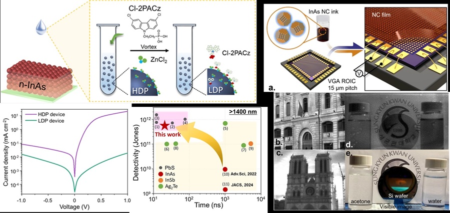 ▲ 전하수송층의 도핑 조절을 통한 소자 내부 전기장 분포 재구성 및  누설전류 억제. 표면 개질을 통한 실시간 적외선 이미징 솔루션 구현.ⓒ성균관대