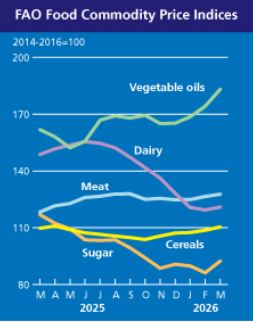 ▲ 유엔 식량농업기구가 발표한 세계식량가격지수ⓒFAO