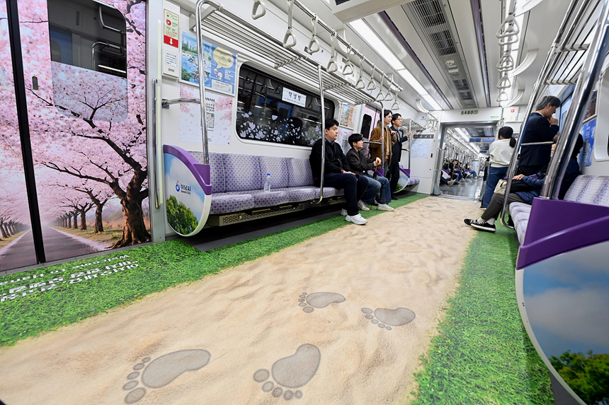 ▲ 지하철 5호선(하남선) 전동차에 미사한강모랫길과 하남벚꽃길이 그려져 있다 ⓒ하남시 제공