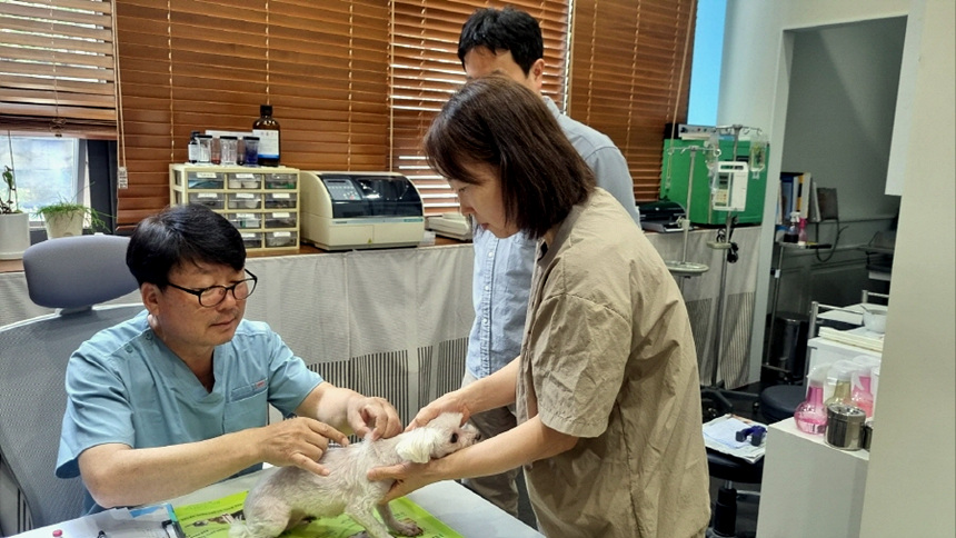고양시, 광견병 예방백신 무료 접종 실시