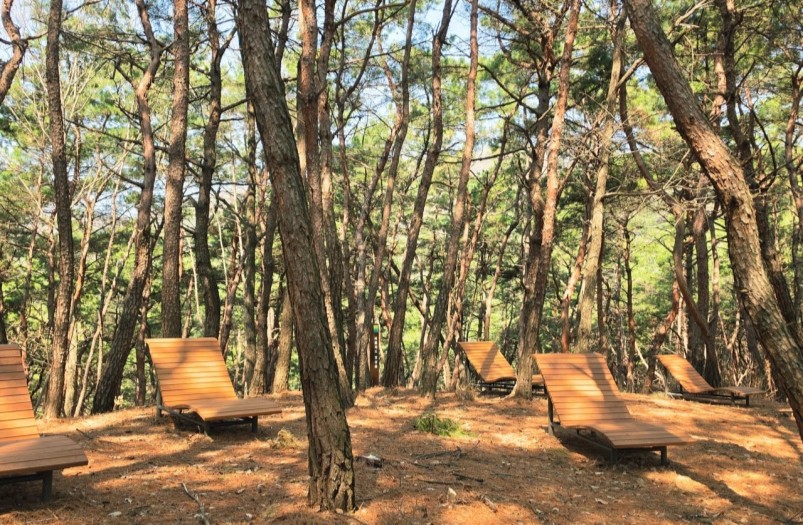 ▲ 대구 북구청은 금호강과 화담산의 수려한 자연경관을 활용해 30만㎡ 규모의 부지에 총사업비 190만(전액 시비)원을 투입하는 ‘녹색힐링벨트 사업’을 추진 중이다.ⓒ북구청