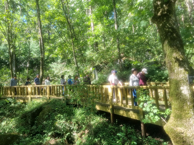 ▲ 한국산림복지진흥원 국립횡성숲체원에서 참가자들이 '으랏차차 내몸깨우기' 프로그램에 참여하고 있다. ⓒ한국산림복지진흥원 국립횡성숲체원