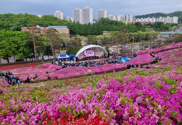 ▲ 군포 철쭉동산. ⓒ군포시 제공
