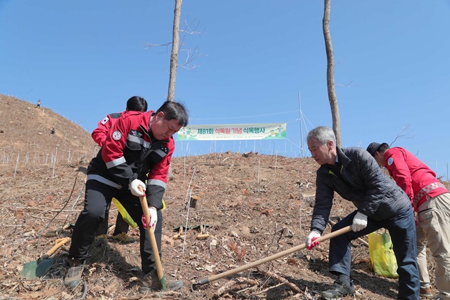 ▲ 춘천시가 8일 남면 가정리 산77-1번지 일원에서 현준태 부시장을 비롯한 시청 직원 등 200여 명이 참여한 가운데 식목행사를 열고 낙엽송 7200본을 식재했다. ⓒ춘천시
