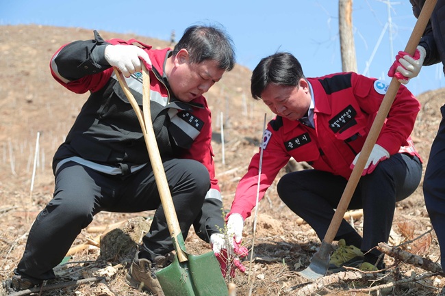 ▲ 춘천시가 8일 남면 가정리 산77-1번지 일원에서 현준태 부시장을 비롯한 시청 직원 등 200여 명이 참여한 가운데 식목행사를 열고 낙엽송 7200본을 식재했다. ⓒ춘천시