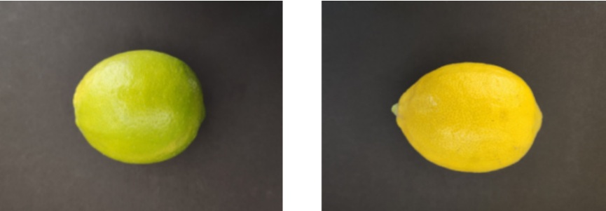 ▲ 성숙 과정에서도 항산화 성분이 줄지 않고 유지·증가하는 국산 신품종 '제라몬'의 성숙 단계별 모습.ⓒ중앙대