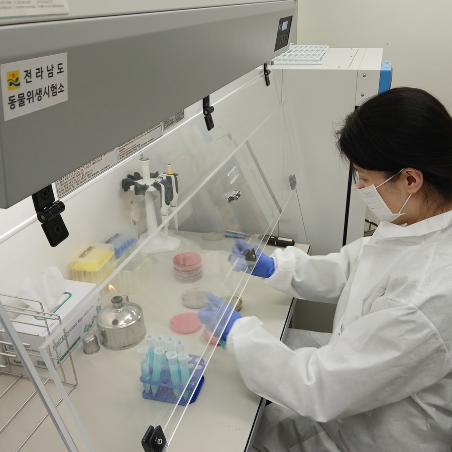 ▲ 축산물 검사(미생물)ⓒ전라남도 제공
