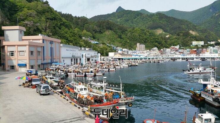 ▲ 기록적인 어획량 감소와 유가 상승으로 이중고를 겪고 있는 울릉도 어민들을 위해 울릉군이 대규모 지원책을 내놨다. 군은 어선 사고 예방과 조업 자동화, 경영비 절감을 골자로 한 ‘2026년 어선어업지원사업’을 확정하고 본격적인 대상자 모집에 들어갔다.ⓒ뉴데일리
