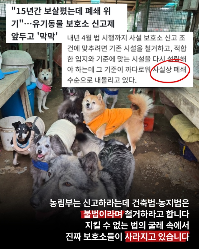 ▲ 민간 보호소 신고제 개정을 촉구하는 시민 모임의 카드 뉴스. ⓒ시민 모임 제공