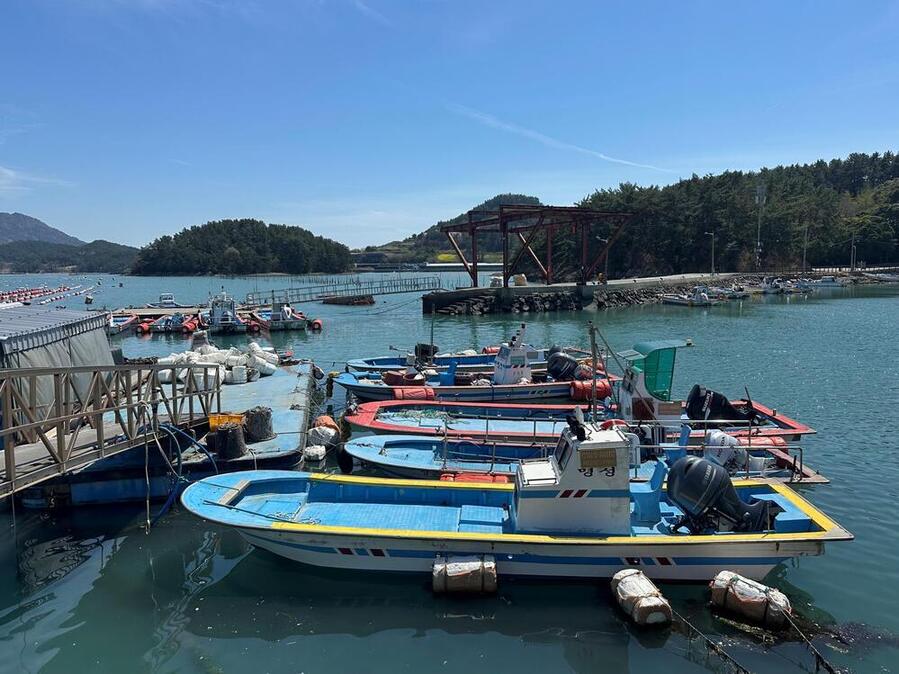 ▲ 전남도, 중동정세…어업인 경영부담 완화 213억 조기 집행ⓒ전라남도 제공