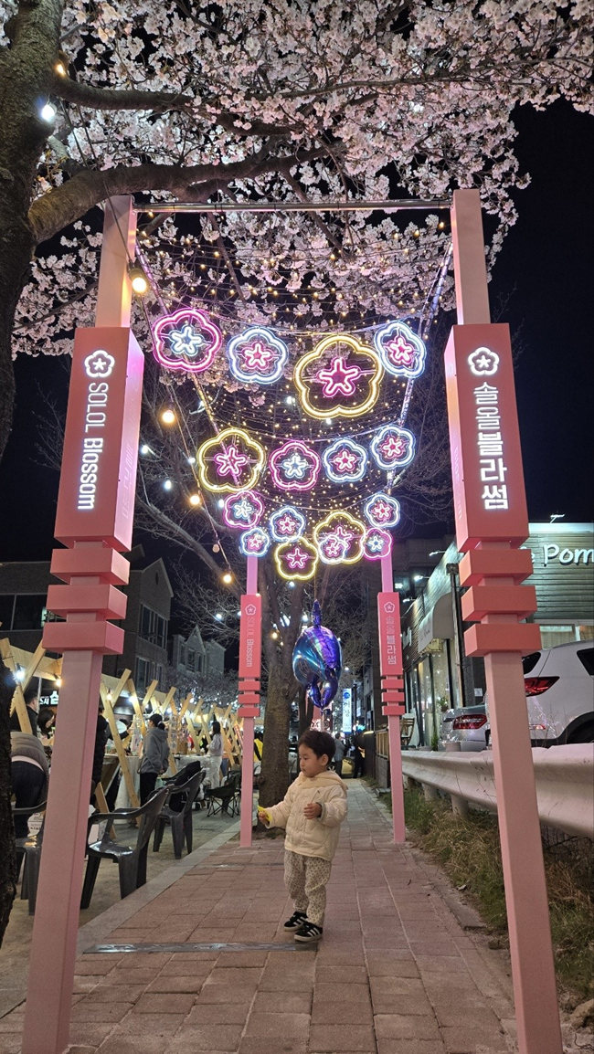 ▲ 장려 사업에 선정된 교1동 '컬러풀가든 조성사업'. ⓒ강릉시