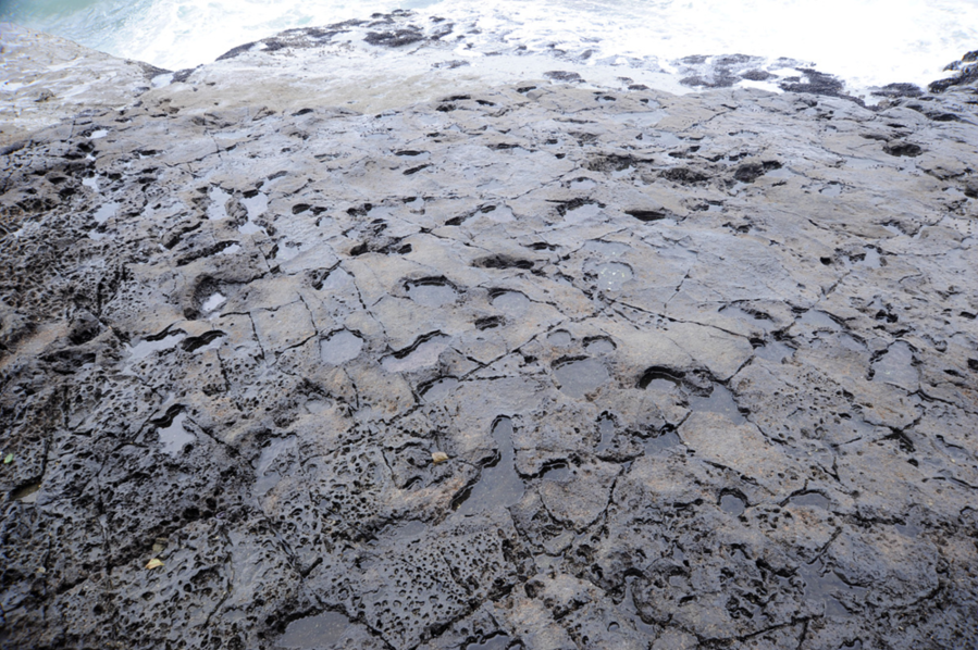▲ 낭도 공룡발자국 화석산지ⓒ여수시 제공