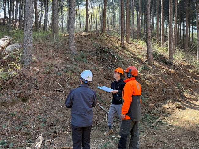 ▲ 북부지방산림청이 13일 경기도 파주·연천 일대 소나무재선충병 방제사업장을 방문해 사업 추진 상황과 안전관리 실태에 대한 현장점검을 실시했다. ⓒ북부지방산림청