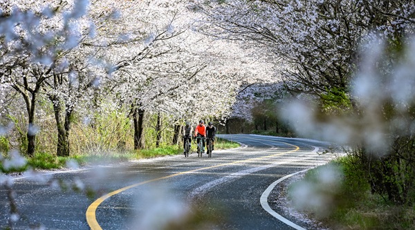 ▲ 중구 산성동 원고갯길.ⓒ중구