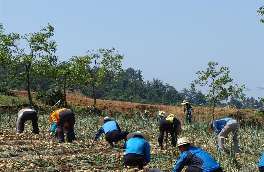 ▲ 전남도, 농어민 공익수당 70만원 지급_농업 현장ⓒ전라남도 제공