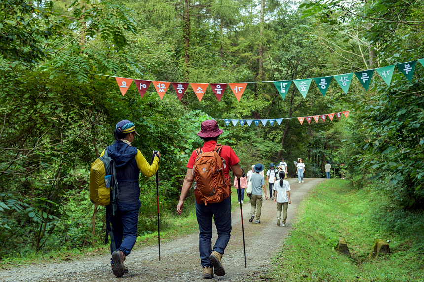 ▲ 광릉숲축제 행사 모습 ⓒ남양주시 제공