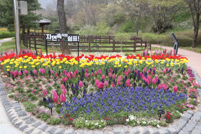 ▲ 보령무궁화수목원 꽃 정원 모습.ⓒ보령시