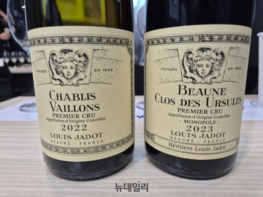 ▲ (왼쪽부터) 샤블리 바이용 프리미에 크뤼 2022, 본 끌로 데 유르슐 프리미에 크뤼 모노폴 2023 와인ⓒ조현우 기자