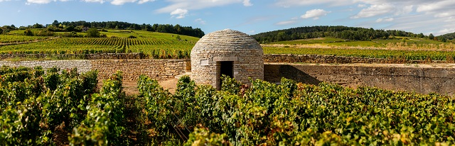 ▲ 프랑스 부르고뉴에 위치한 루이자도 와이너리ⓒ신세계L&B