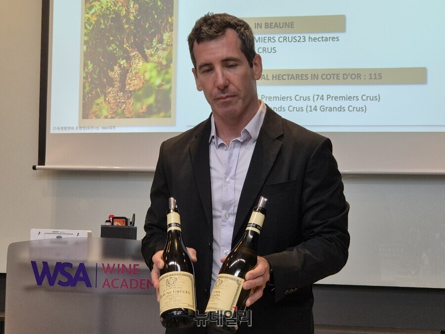 ▲ 엘리 페레스 루이자도 수출 담당 이사가 와인에 대해 설명하고 있다.ⓒ조현우 기자