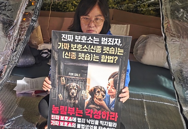 ▲ 동물보호단체 '코리안 독스' 관계자가 15일 농림축산식품부 앞에서 '민간 동물보호시설 신고제'를 규탄하며 1인 시위를 하고 있다. ⓒ코리안 독스 제공