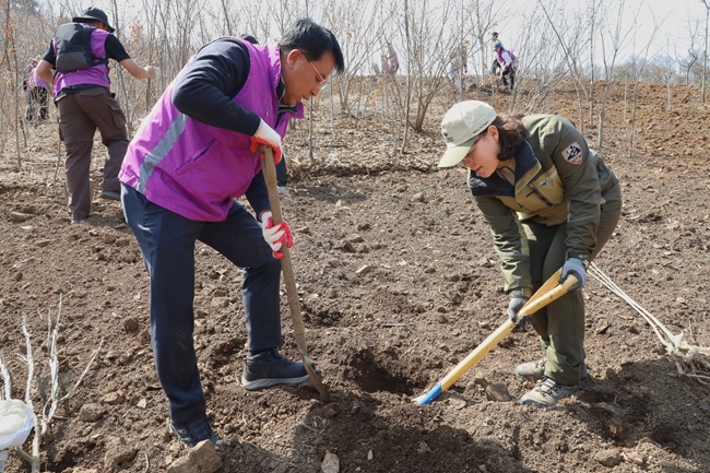 ▲ 강원랜드가 15일 태백산국립공원사무소와 함께 '강원랜드 희망의 숲' 조성을 위한 나무심기 행사를 실시했다. ⓒ강원랜드