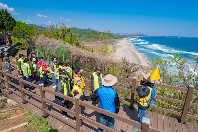 ▲ 고성 DMZ 평화의 길 운영 모습. ⓒ고성군