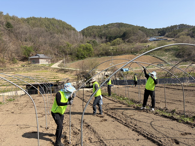 ▲ 강원농협 경제지주 직원 20여 명이 본격적인 영농철을 맞아 15일 홍천군 내촌면 와야2리를 찾아 일손 돕기를 실시했다. ⓒ강원농협