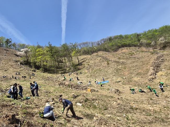 ▲ 북부지방산림청과 현대백화점그룹이 나무심기 행사를 통해 온실가스 감축과 건강한 산림생태계 조성에 나섰다. ⓒ북부지방산림청