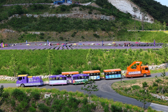 ▲ 무릉별 열차 모습. ⓒ동해시