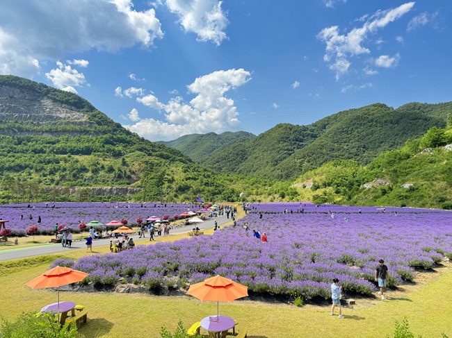▲ 무릉별유천지 그늘막. ⓒ동해시