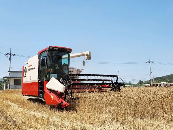 ▲ 이양기 모습.ⓒ서천군