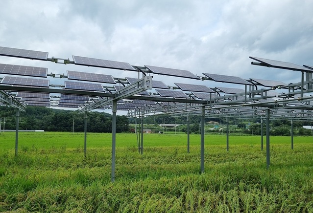 ▲ 영농형 태양광ⓒ한화솔루션