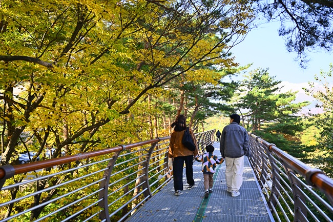 ▲ 속초 설악향기로 전경. ⓒ속초시