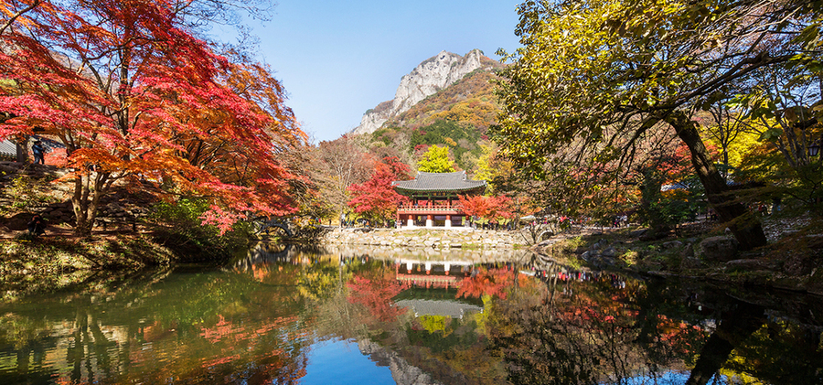▲ 문화유산-백양사ⓒ전라남도 제공