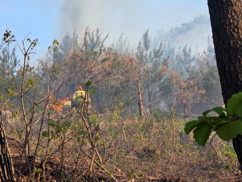 ▲ 21일 오전 7시 43분께 강원 양양군 서면 논화리 인근 야산에서 산불이 발생해 소방당국이 화재를 진화중이다. ⓒ뉴시스