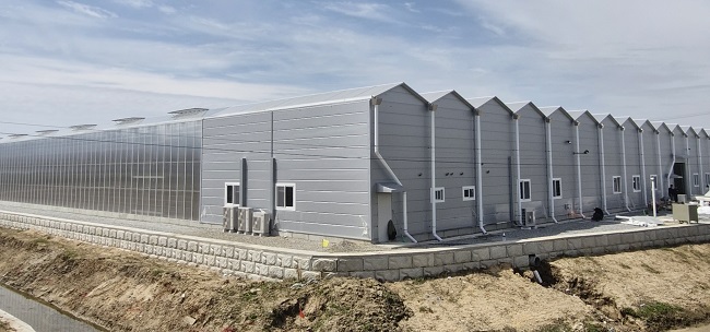 ▲ 청주시, ICT 기반 스마트팜 원예단지 준공 사진(전경)